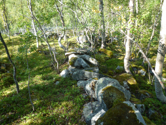 Foto av ete steingjerde i grønn løvskog.