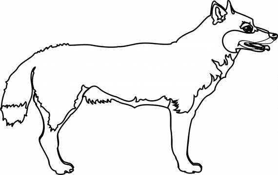 Tegning av en hund.