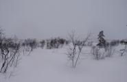Skåajje