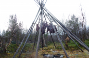 Røykakjøtt