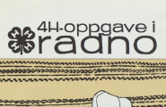 4H-oppgave i radno senior