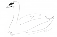 Svane