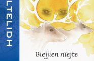 Biejjien nïejte