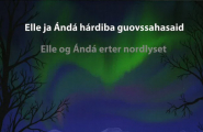 Elle og Ándá erter nordlyset