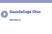 Otso, beeren tjovke