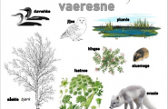 Guvviebaakoelæstoe: Vaeresne