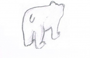 Bjørn