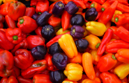 Paprika