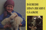 Dåeredh Ijdan jih sïrvi gåajkoe