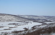 Vinter