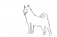 Hund