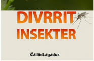 Divrrit