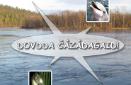 Dovdda čázádagaid!