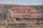 Reinflokken som ble til stein