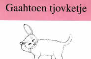 Gaahtoen tjovketje