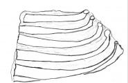 Ïehterdahke