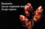 Ávujn vajmon