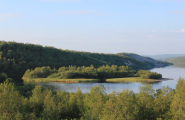 Jeanoe