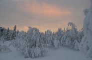 Vinter