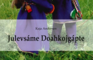 Julevsáme doahkojgápte