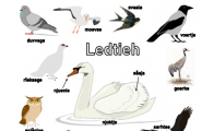 Guvviebaakoelæstoe: ledtieh