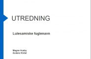 Lulesamiske fuglenavn