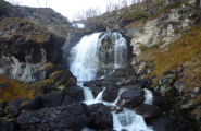 Foss