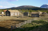 Hus