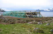 Fiskehjell