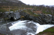 Gårttje 