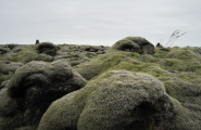 Lava