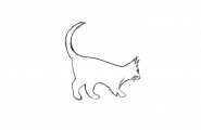 Katt