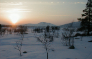 Vinter