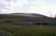 Vaerie