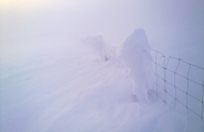 Vinter