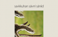 Savkkuhan sávrri sániid