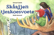 Skåajjen tjeakoesvoete