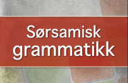 Sørsamisk grammatikk