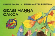 Geasi maŋŋá čakča