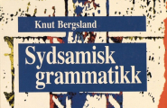 Sydsamisk grammatikk