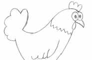 Hane
