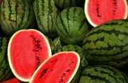 Melon